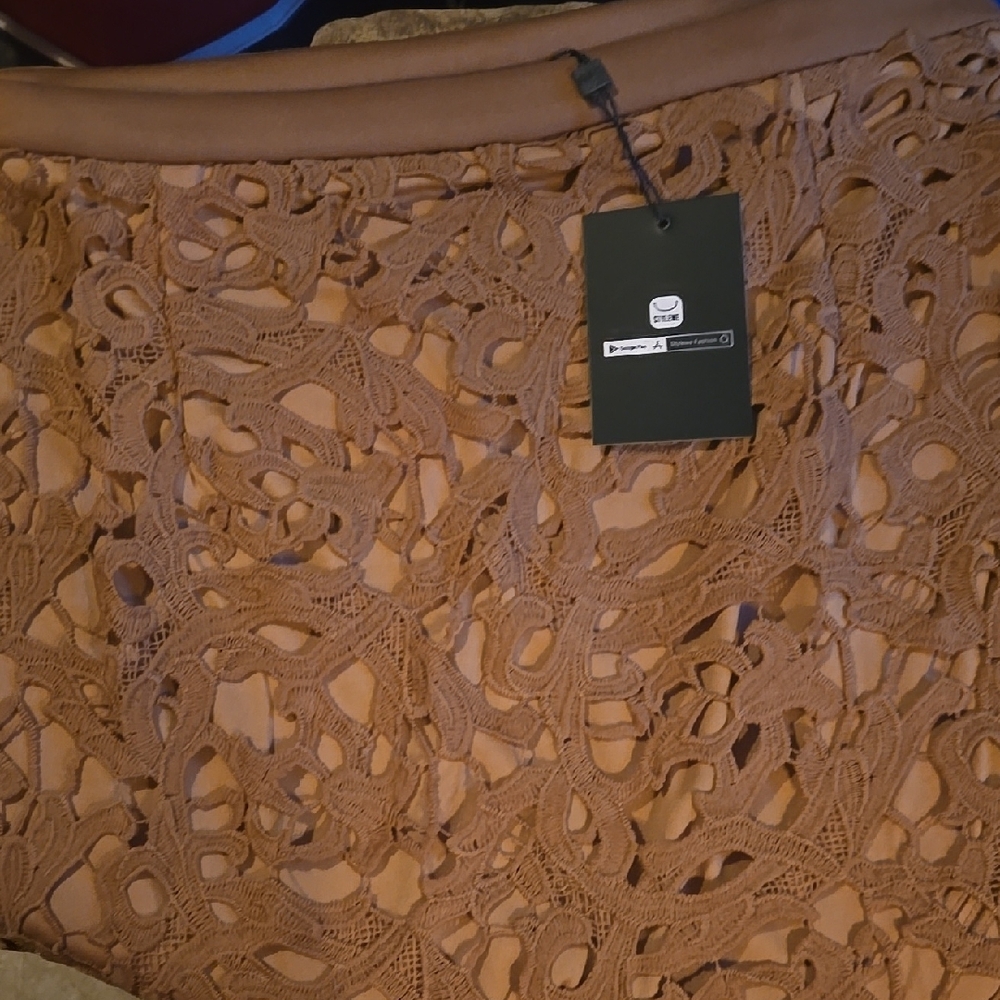 Elegant Lace Tan Skirt